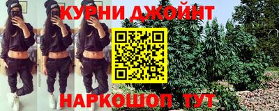 гидра Славгород