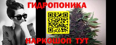 гидра Славгород