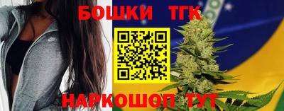 дмт Сланцы