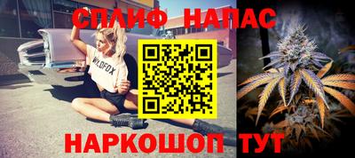 дмт Сланцы