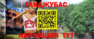 дмт Сланцы